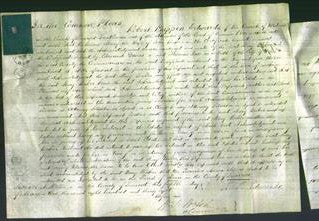 Court of Common Pleas - Mary Baker-Original Ancestry