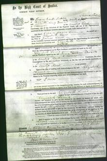 Court of Common Pleas - Elizabeth Lewis-Original Ancestry