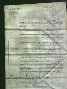 Court of Common Pleas - Mary Ann Andrews-Original Ancestry