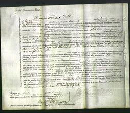 Court of Common Pleas - Ann Ibbitson-Original Ancestry