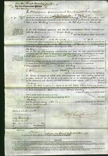 Court of Common Pleas - Betsey Howorth-Original Ancestry