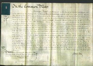 Court of Common Pleas - Jane Acraman-Original Ancestry