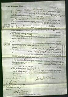 Court of Common Pleas - Fanny Gray Westoby-Original Ancestry