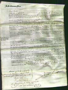 Court of Common Pleas - Harriet Hipkin-Original Ancestry