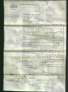 Court of Common Pleas - Mary Jane King-Original Ancestry