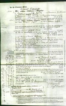 Court of Common Pleas - Margaret Griffith-Original Ancestry