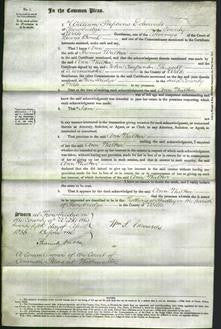 Court of Common Pleas - Ann Walker-Original Ancestry