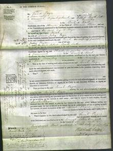 Court of Common Pleas - Sarah Payn-Original Ancestry