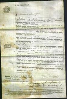 Court of Common Pleas - Mary Ann Palmer-Original Ancestry