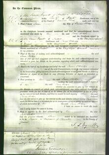Court of Common Pleas - Jane Hodge-Original Ancestry