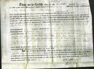 Deed by Married Women - Ann Lowther, Mary Clark, Elizabeth Lacy and Ann Brown-Original Ancestry