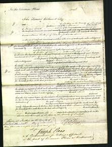 Court of Common Pleas - Maria Jones-Original Ancestry