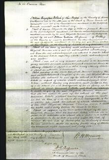 Court of Common Pleas - Elizabeth Hammer-Original Ancestry