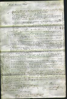 Court of Common Pleas - Emma Matilda Cobb-Original Ancestry