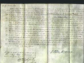 Court of Common Pleas - Susan Burch-Original Ancestry