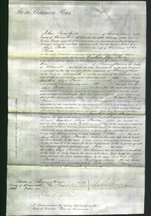 Court of Common Pleas - Caroline Eliza Power-Original Ancestry