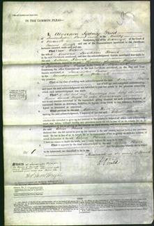 Court of Common Pleas - Celina Flower-Original Ancestry