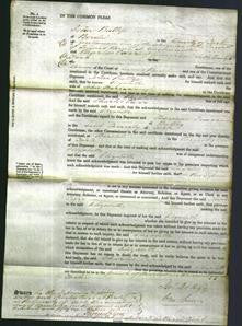 Court of Common Pleas - Elizabeth Barraclough-Original Ancestry