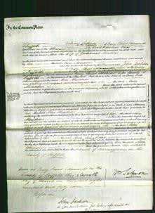 Court of Common Pleas - Ann Meadows-Original Ancestry