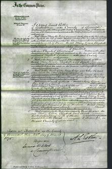 Court of Common Pleas - Mary Darby, Grace Pool, Elizabeth Bishop and Sarah Gillett-Original Ancestry