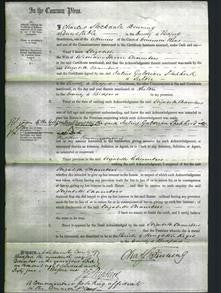 Court of Common Pleas - Elizabeth Chambers-Original Ancestry