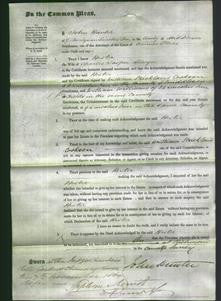 Court of Common Pleas - Hester Selwyn-Original Ancestry