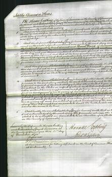 Court of Common Pleas - Mary Sill-Original Ancestry