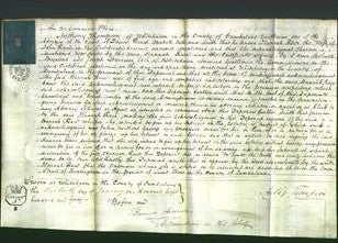 Court of Common Pleas - Hannah Race-Original Ancestry