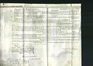 Court of Common Pleas - Maria Hartley-Original Ancestry