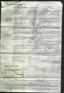 Court of Common Pleas - Betsey Howorth-Original Ancestry