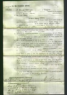 Court of Common Pleas - Mary Holder-Original Ancestry