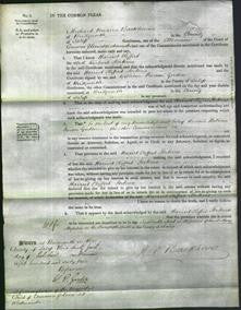 Court of Common Pleas - Harriet Clifford Porteus-Original Ancestry