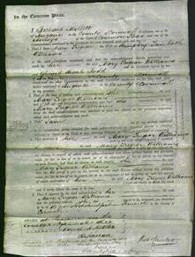 Court of Common Pleas - Mary Tregear Williams-Original Ancestry