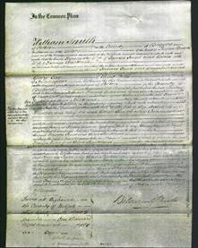 Court of Common Pleas - Frances Judd and Ann Strickland-Original Ancestry