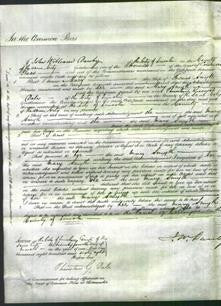 Court of Common Pleas - Mary Smyth-Original Ancestry