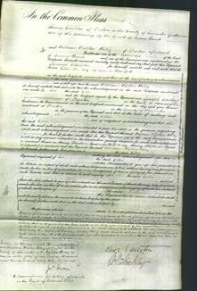 Court of Common Pleas - Ellen Bamford-Original Ancestry