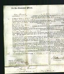 Court of Common Pleas - Mary Hodgson, Ann Realey and Betsey McCaffrey-Original Ancestry