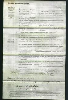 Court of Common Pleas - Susannah Porter-Original Ancestry