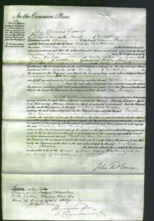 Court of Common Pleas - Caroline Ann Nevins-Original Ancestry