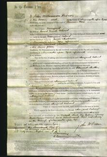 Court of Common Pleas - Margaret Calvert-Original Ancestry