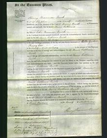 Court of Common Pleas - Anna Catherine Quick-Original Ancestry