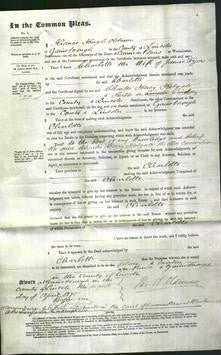 Court of Common Pleas - Charlotte Tyers-Original Ancestry