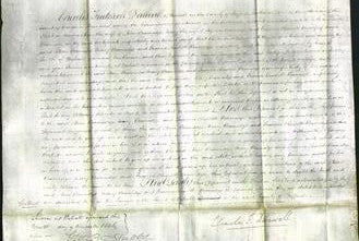 Court of Common Pleas - Ann Bramidge, Mary Bramidge and Frances Charlotte Bramidge-Original Ancestry