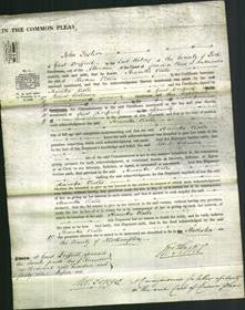 Court of Common Pleas - Henrietta Vialls-Original Ancestry