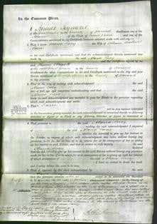 Court of Common Pleas - Maria Lucy Rovers-Original Ancestry