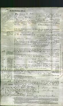 Court of Common Pleas - Jane Gibson-Original Ancestry