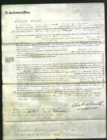 Court of Common Pleas - Sarah Chamberlain-Original Ancestry