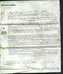 Court of Common Pleas - Susannah Young and Anne Lidford Cull-Original Ancestry