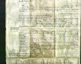 Court of Common Pleas - Sarah Farrow-Original Ancestry