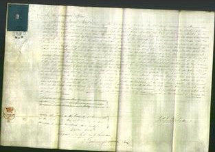 Court of Common Pleas - Ann Martin-Original Ancestry